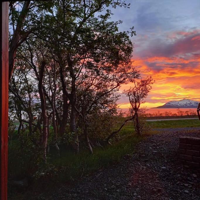 SvalbarthseyriÞorsmoerk Farm 12 Min From Akureyri公寓 外观 照片